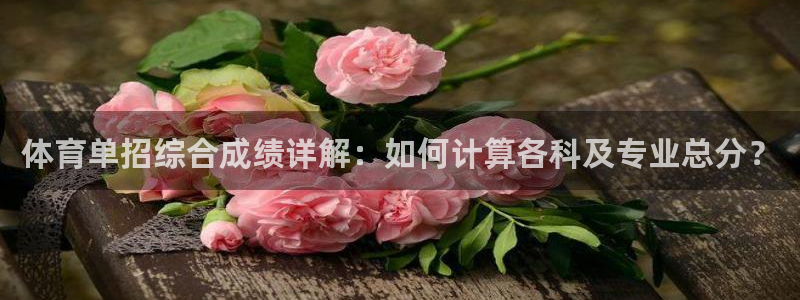 体育单招综合成绩详解：如何计算各科及专业总分？