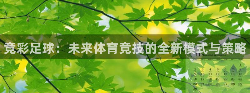 竞彩足球：未来体育竞技的全新模式与策略